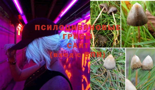 наркотики Алексеевка