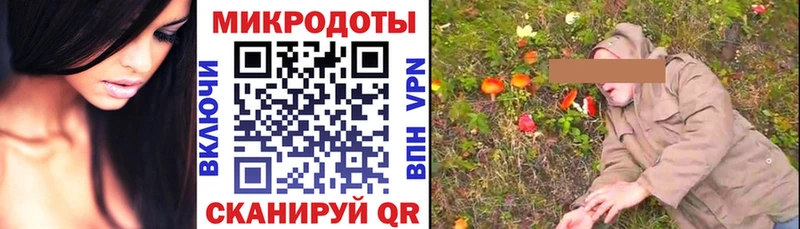 Галлюциногенные грибы Psilocybine cubensis  Тосно 