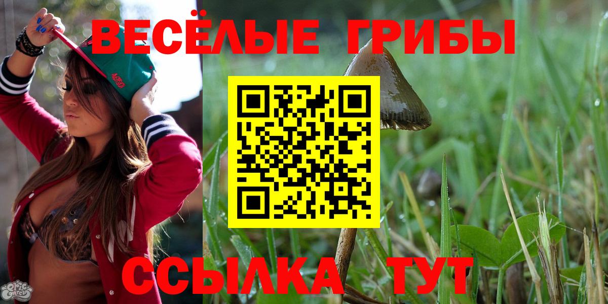Псилоцибиновые грибы Cubensis Тосно