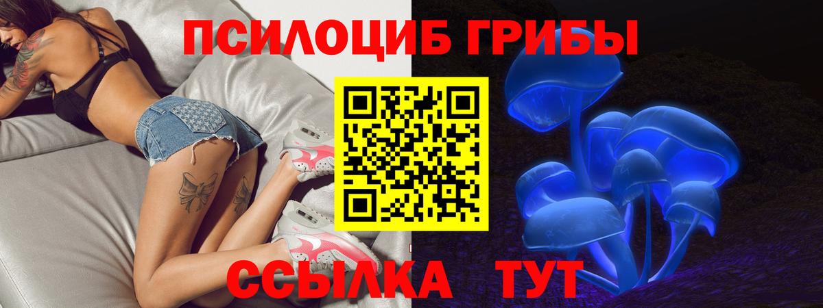 Галлюциногенные грибы GOLDEN TEACHER  Галлюциногенные грибы GOLDEN TEACHER  Вход с VPN  Тосно 